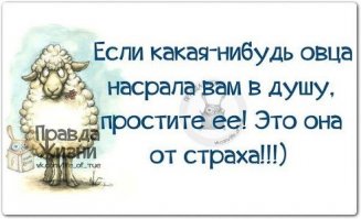 Смешные картинки