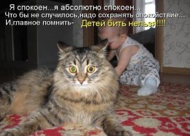 дети с котиками-это так мило,иногда козяво!