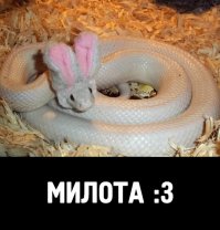 Самые добрые фото
