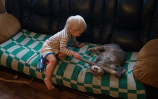 дети с котиками-это так мило,иногда козяво!