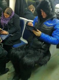 Тоже к нам перебрался.