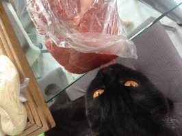 Шанель ворует мясо