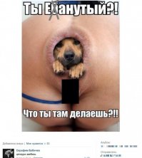 вот щеночек хороший)