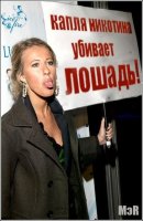 Фотографии Лошадей