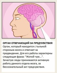 вот я бы назвал это чуять жопой