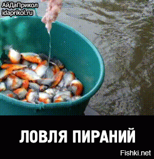 Э-э... Пардон муа, а как их потом чистить?