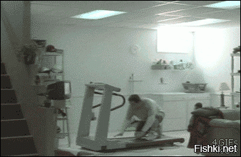 GIF баяны, но за то какие!
