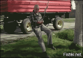 GIF баяны, но за то какие!