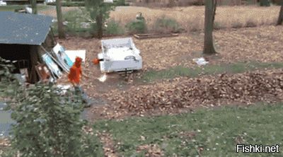 GIF баяны, но за то какие!