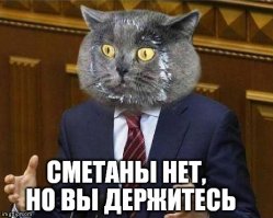 Подборка прикольных фоток