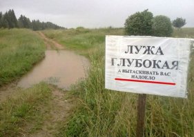 Смешные картинки