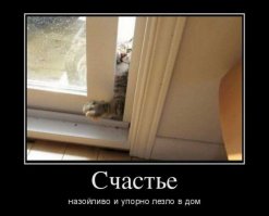 Заметки на полях: было мало котиков; поэтому добавлю.