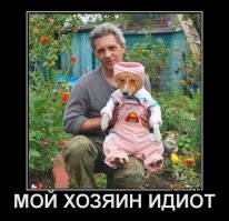 Фото любимого друга