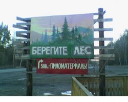 Веселые фотки