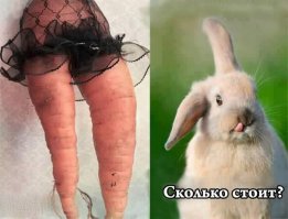 Смешные комменты из соцсетей и не только #36
