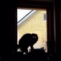Хороший юмор на сегодня