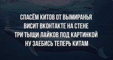 Хороший юмор на сегодня