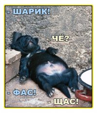 Хороший юмор на сегодня
