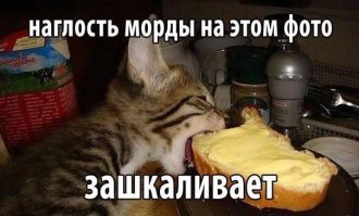 Хороший юмор на сегодня