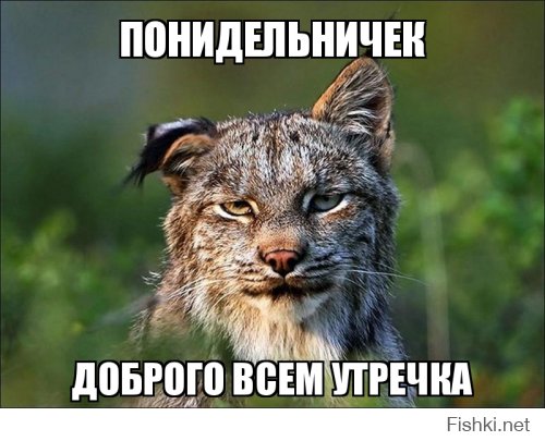 Воскресная подборка фотографий