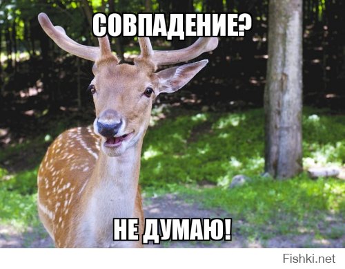 Даже не тормозил