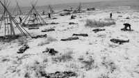 Редкие фотографии Америки времен дикого запада часть вторая