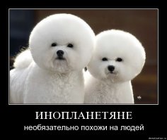 Доза умиления на 100%
