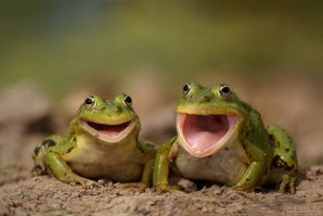 Коротко о том ,как я получаюсь на фотографиях