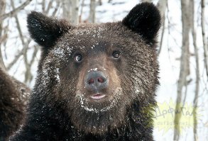 Коротко о том ,как я получаюсь на фотографиях