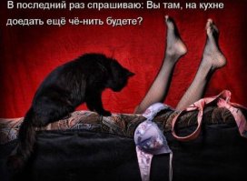 Типичная девушка