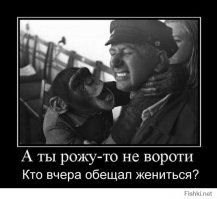 Типичная девушка