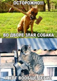 Веселые картинки