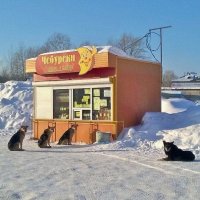 Наубойный отдел