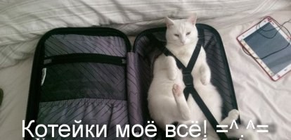 Подборка крутых, смешных и немного странных фоток