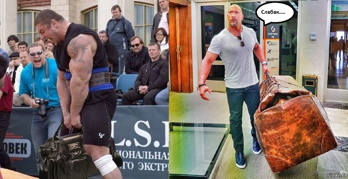 Подборка крутых, смешных и немного странных фоток