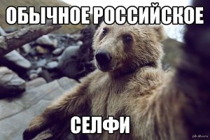 от медведя ответочка))