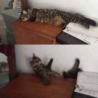 Этот неловкий момент...)