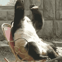 61af7671269d8c11cd39f87387608e3c.gif