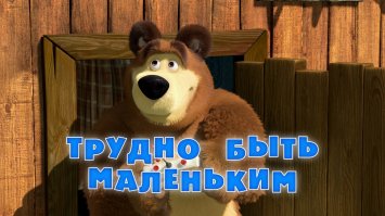 Медведи на все случаи жизни