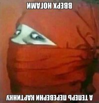 Забавности из интернетов