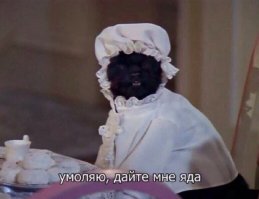 Забавности из интернетов