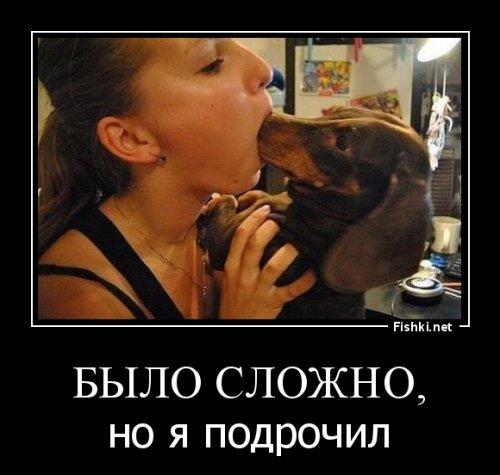 Шедевральные фотографии из социальных сетей