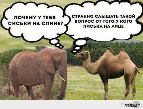 Ох уж эти комментарии