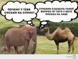 Ох уж эти комментарии