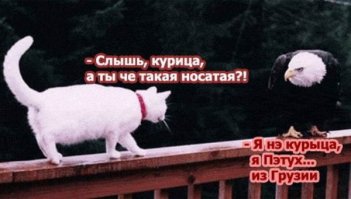 Ох уж эти комментарии