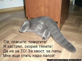 Не задавай вопросов, человек. Просто помоги