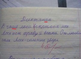 Интересно, почему учитель не заметил "Диктанат" и "чашу" леса?