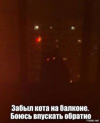 Немного про кота