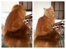 мы конечно своего не нашли, но тоже хочется похвастаться.