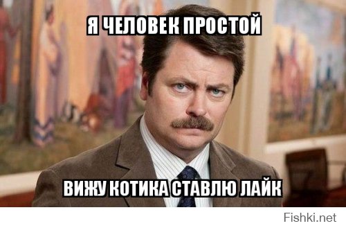 Немного про кота